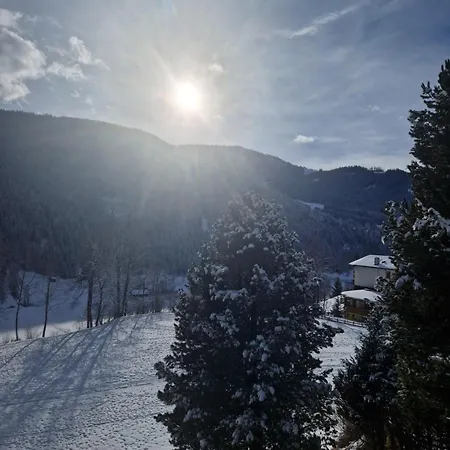 Daire Haus Robi Wood Bad Kleinkirchheim