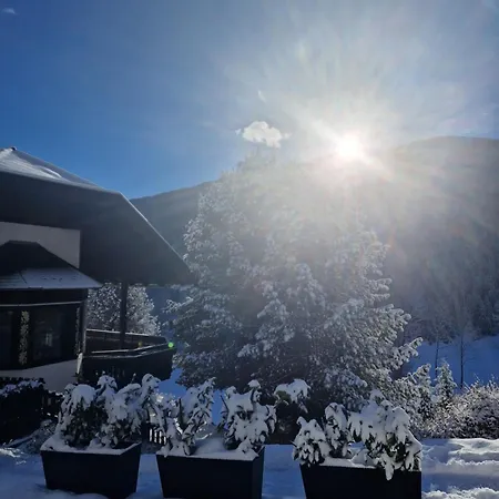 Daire Haus Robi Wood Bad Kleinkirchheim