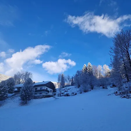 Haus Robi Wood Bad Kleinkirchheim