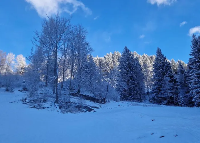 Haus Robi Wood Apartment