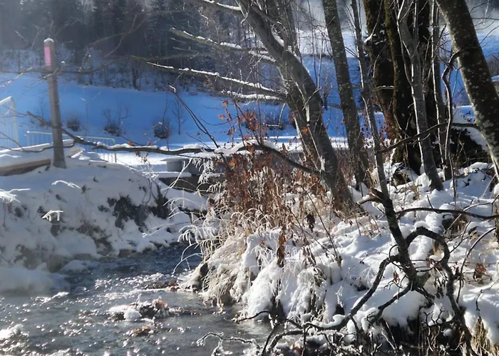 Haus Robi Wood Apartment